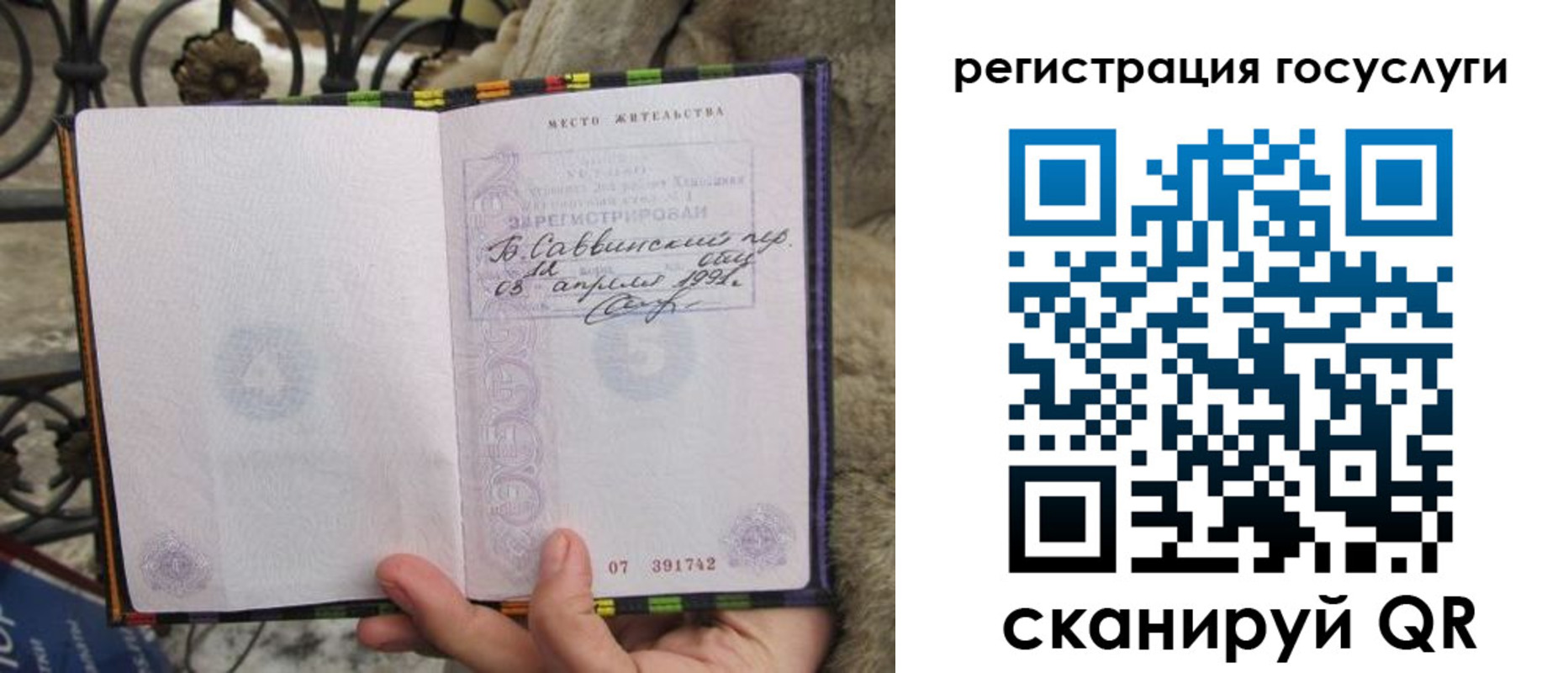 прописка в Шебекино